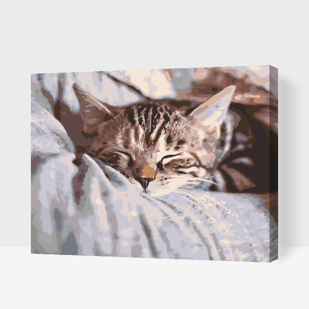 Paint by Numbers - Sleeping Kitty