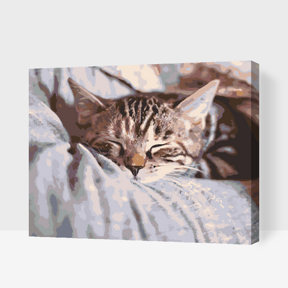 Paint by Numbers - Sleeping Kitty