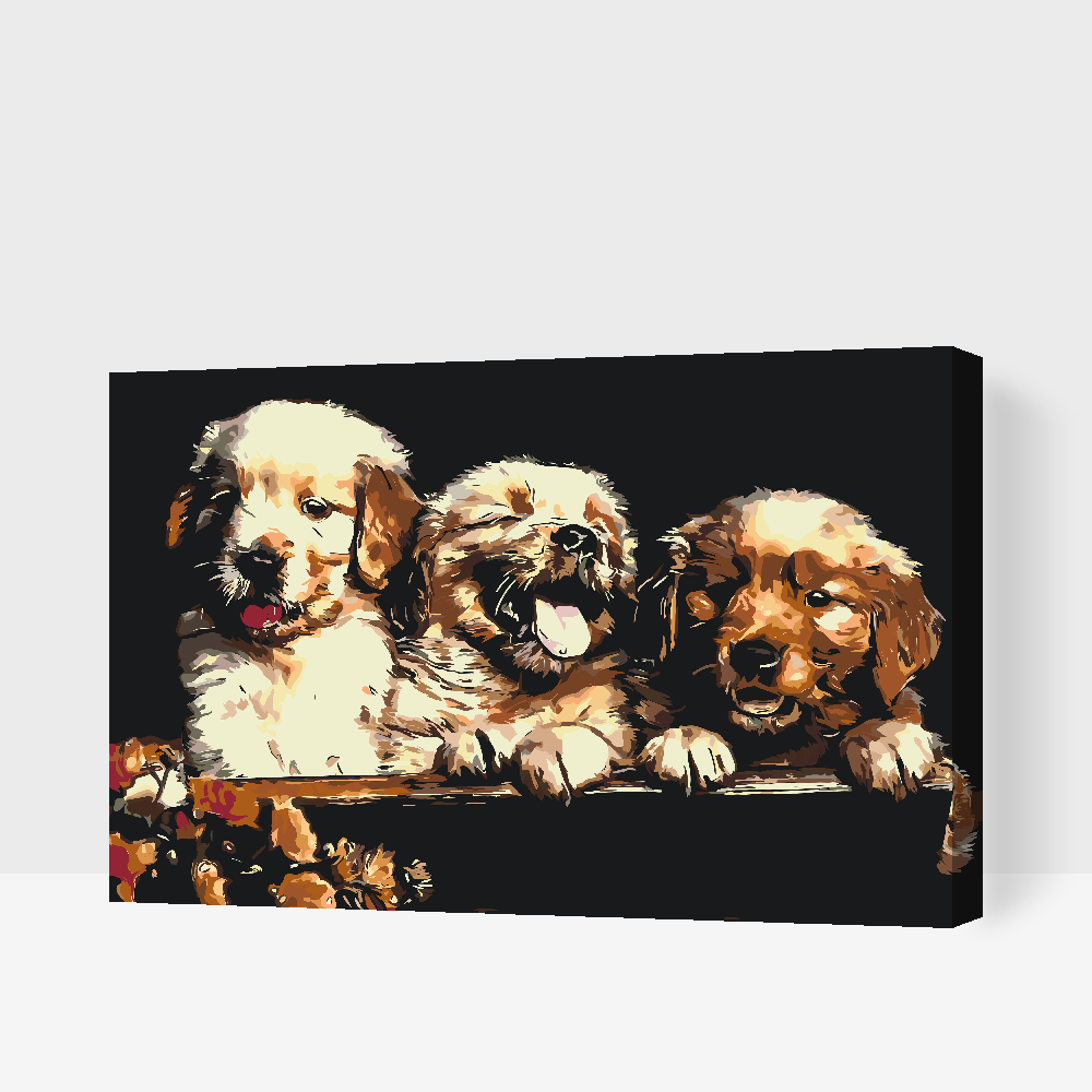 Paint by Numbers - Retriver Puppies