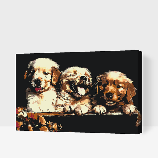 Paint by Numbers - Retriver Puppies