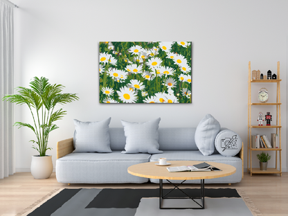 Paint by Numbers - Margueritter på engen