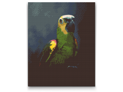Diamond Painting - Amazonpapegøje