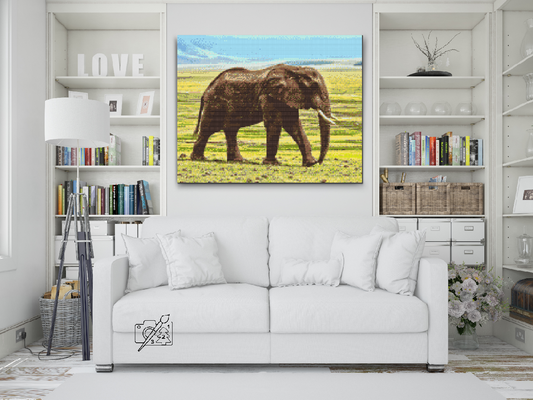 Diamond Painting - Safari-elefant