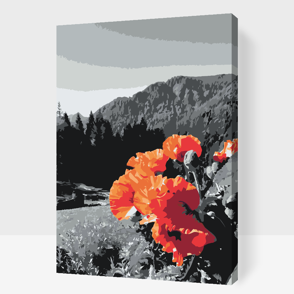 Paint by Numbers - Valmue i bjergene