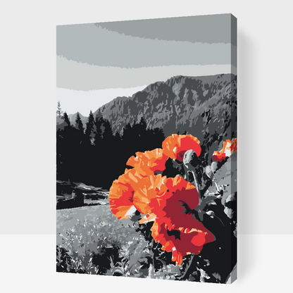Paint by Numbers - Valmue i bjergene