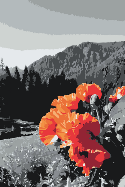 Paint by Numbers - Valmue i bjergene