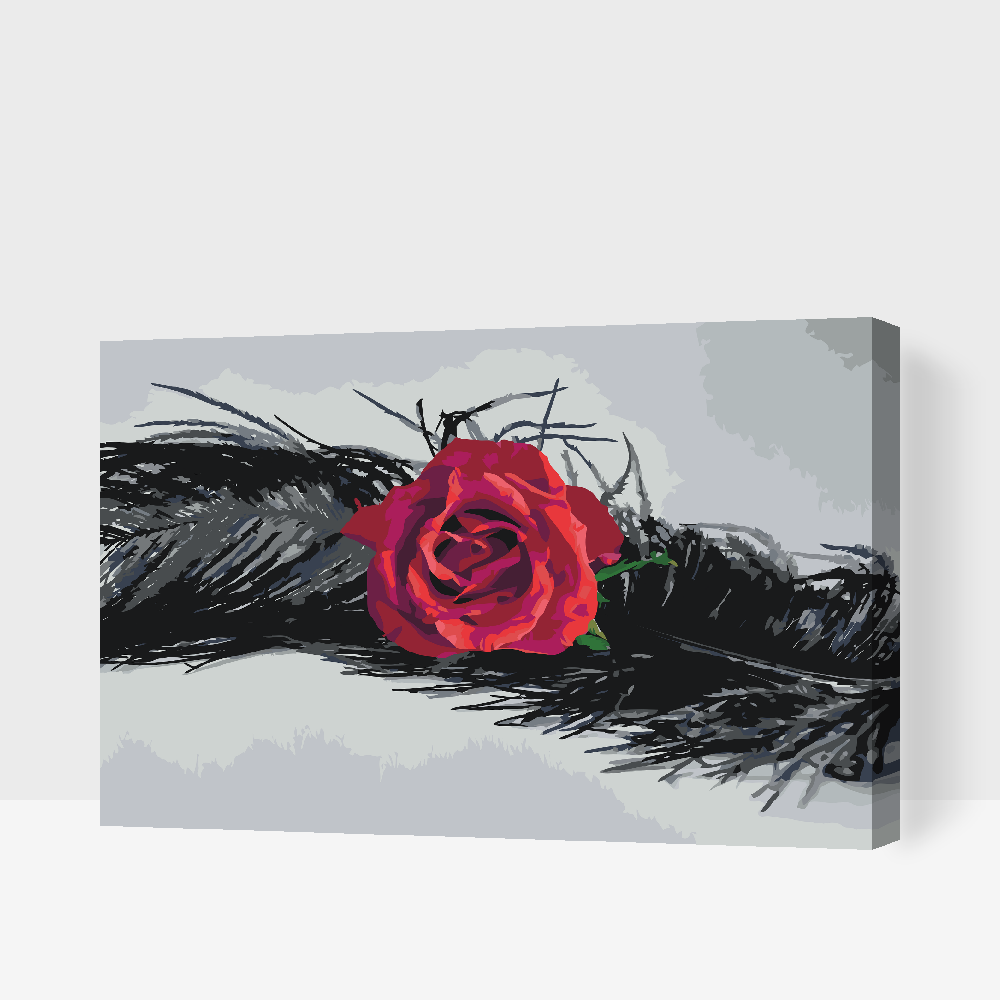 Paint by Numbers - Rose i en fjer