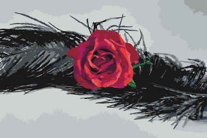 Paint by Numbers - Rose i en fjer