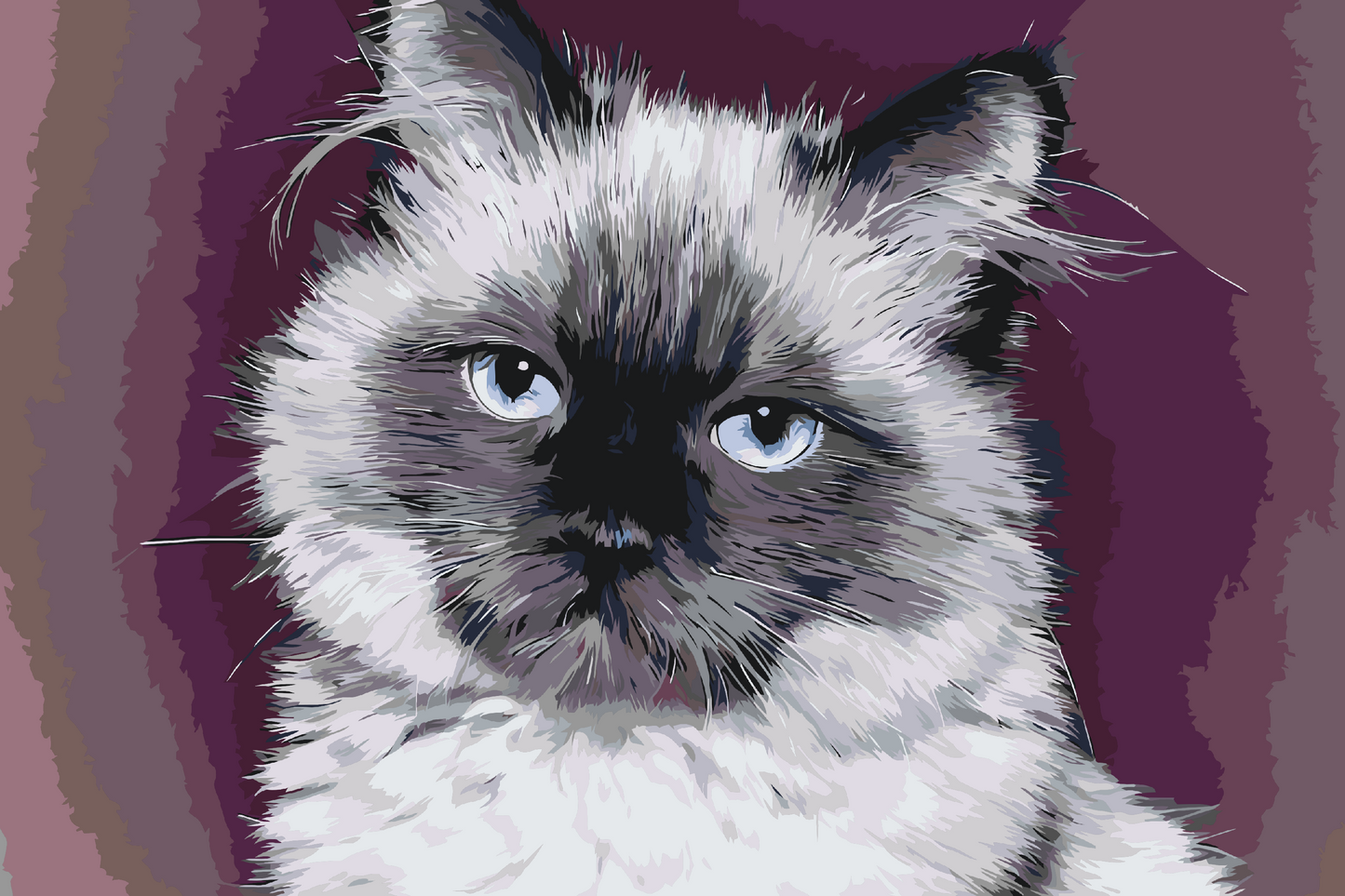 Paint by Numbers - Portræt af Cat
