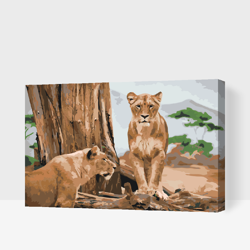 Paint by Numbers - Lioness