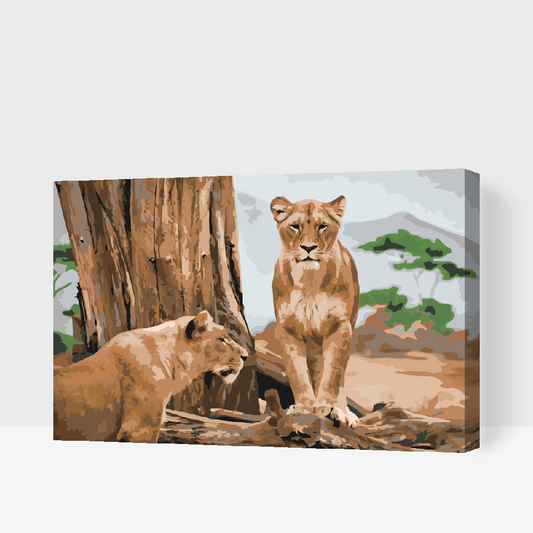 Paint by Numbers - Lioness