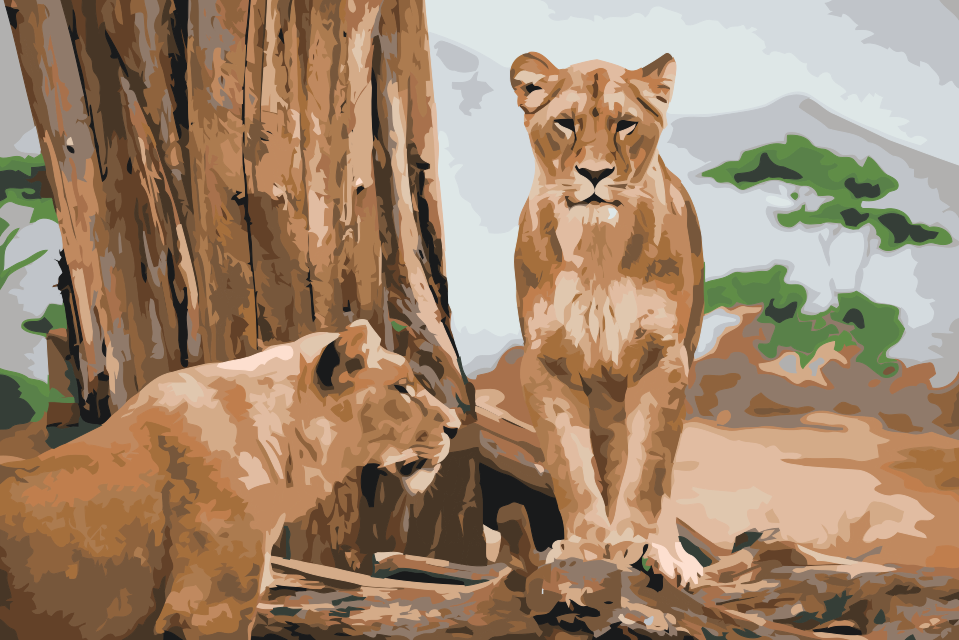 Paint by Numbers - Lioness
