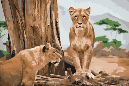 Paint by Numbers - Lioness