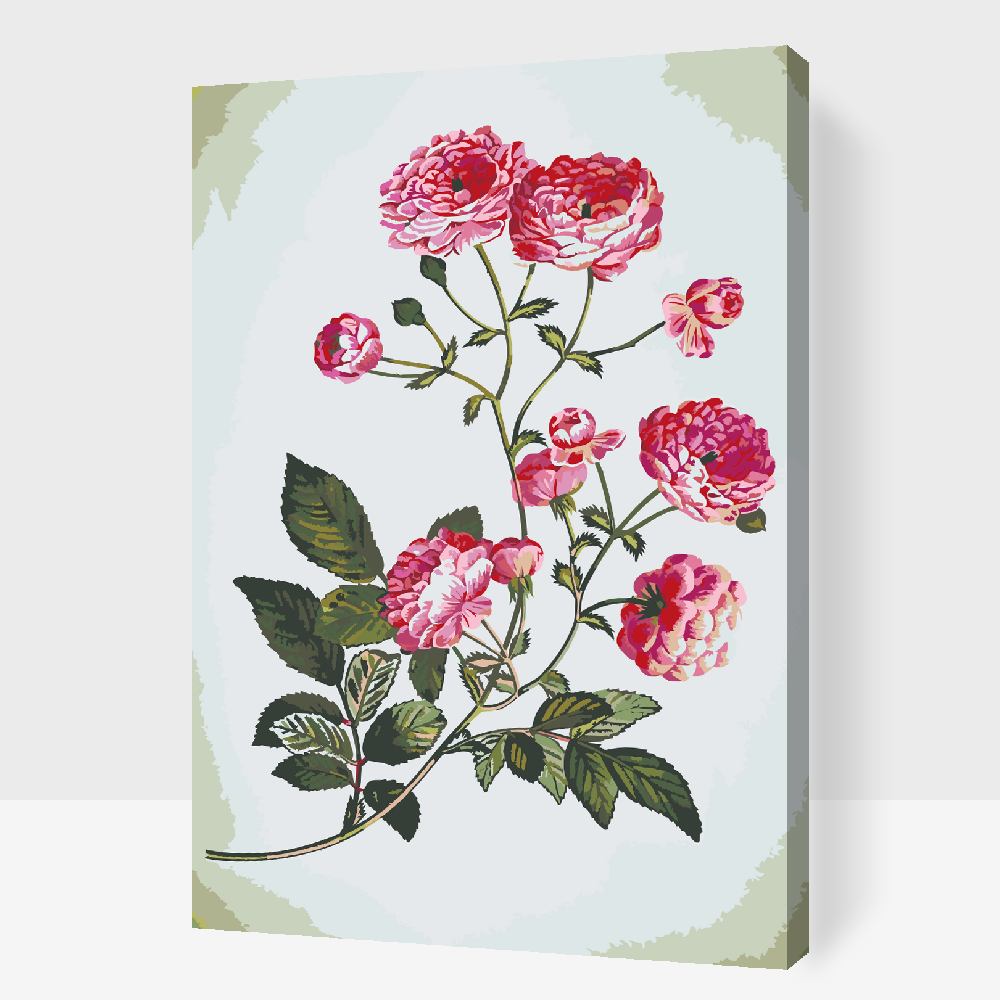 Paint by Numbers - Vintage Flowers 2