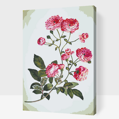 Paint by Numbers - Vintage Flowers 2