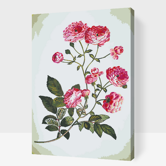 Paint by Numbers - Vintage Flowers 2