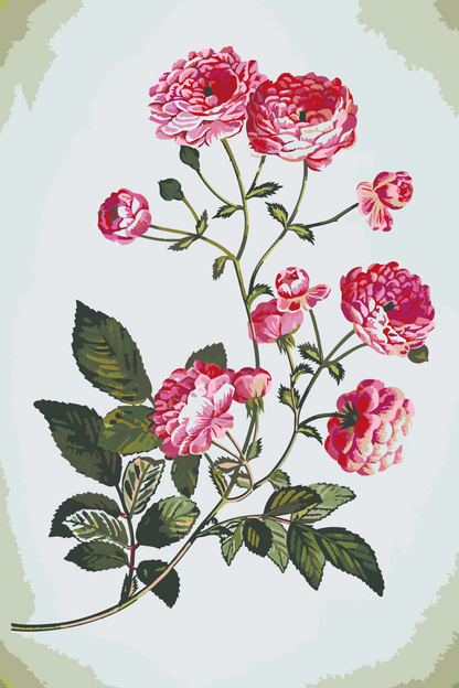 Paint by Numbers - Vintage Flowers 2