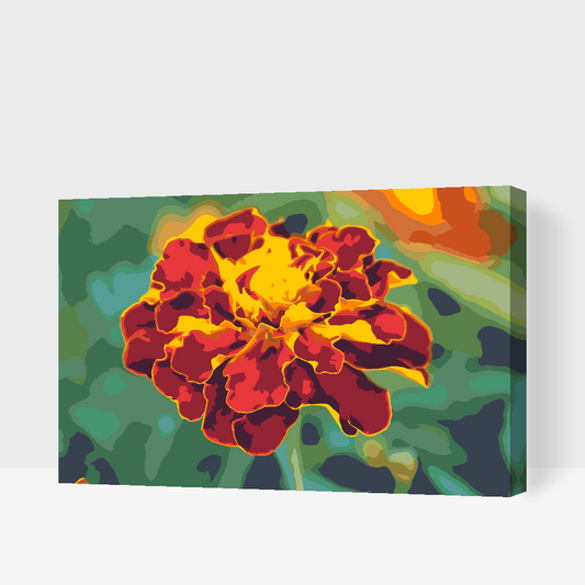 Paint by Numbers - Morgenfrue