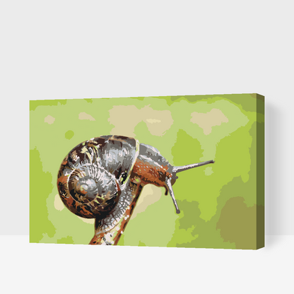 Paint by Numbers - Snegl