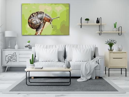 Paint by Numbers - Snegl