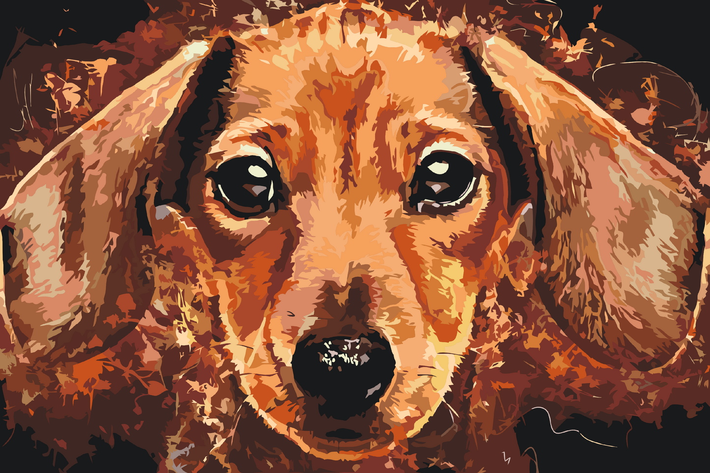 Paint by Numbers - Gravhundhoved