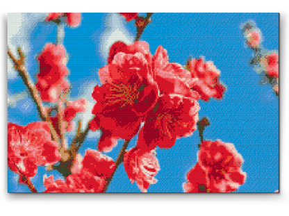 Diamond Painting - Ferskenblomst