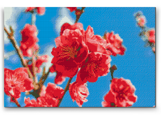 Diamond Painting - Ferskenblomst