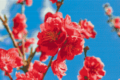 Diamond Painting - Ferskenblomst