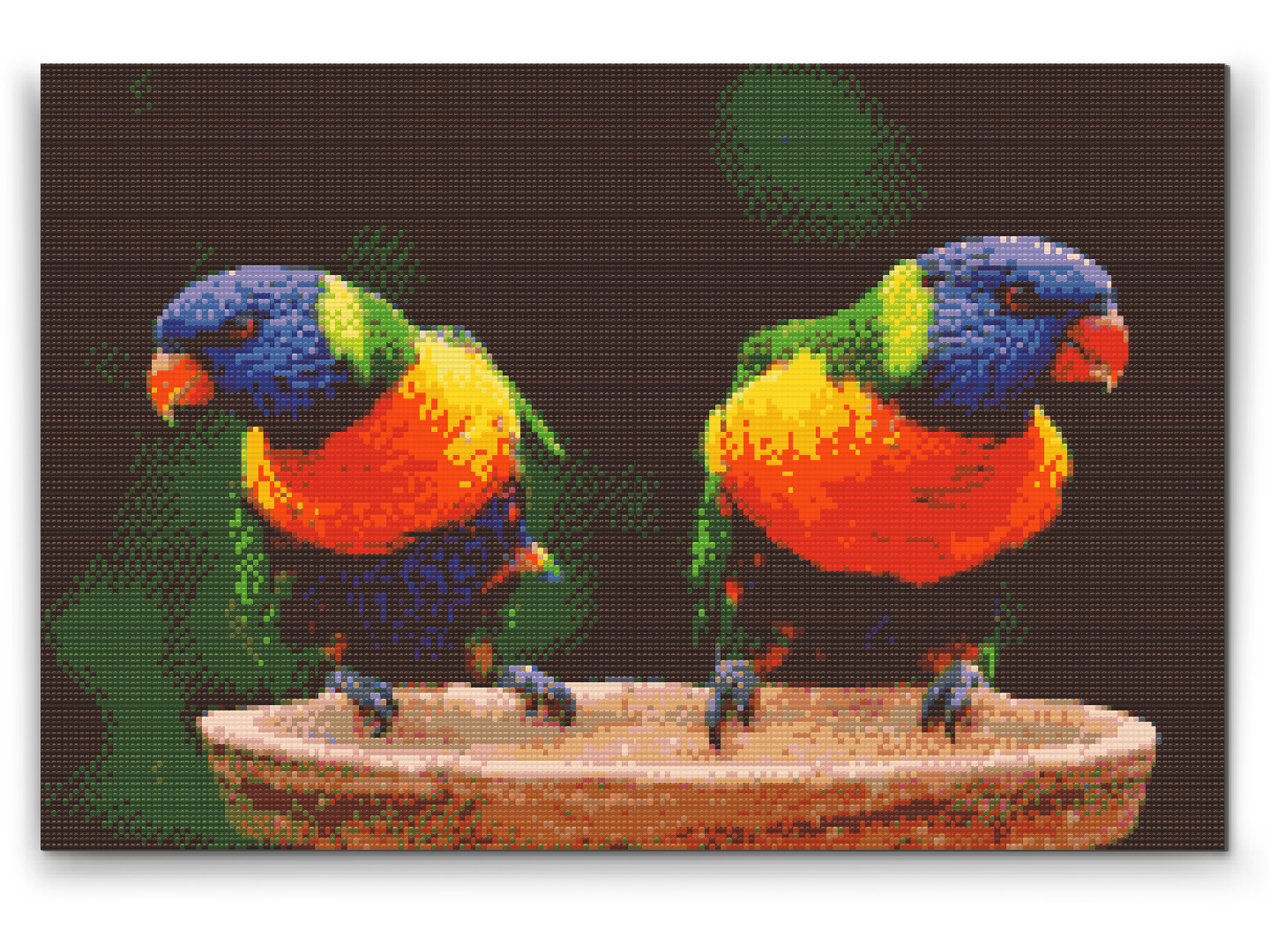Diamond Painting - Regnbuepapegøjer