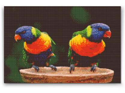 Diamond Painting - Regnbuepapegøjer
