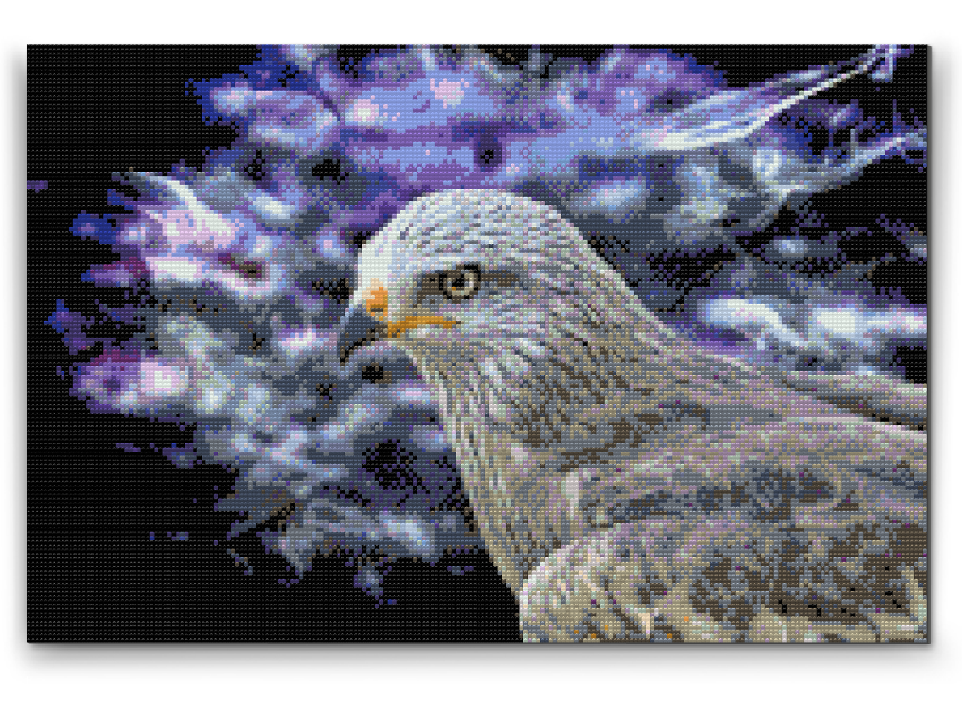 Diamond Painting - Falcon