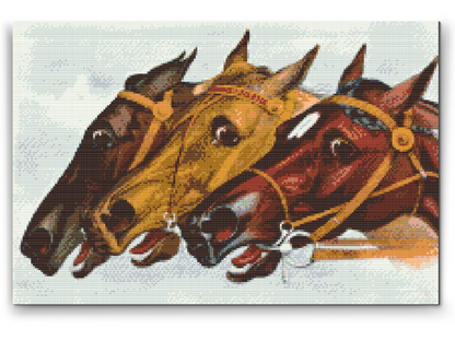 Diamond Painting - Kapløbsheste