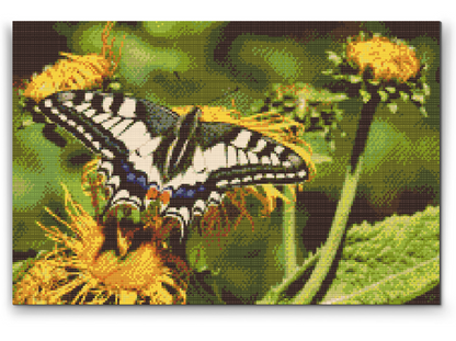 Diamond Painting - Sommerfugl på en mælkebøtte