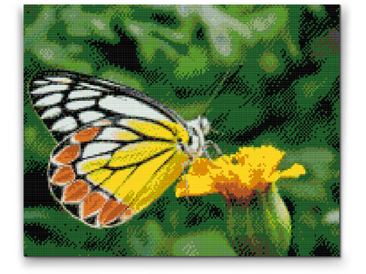 Diamond Painting - Sommerfugl på en gul blomst