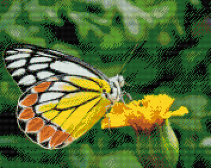 Diamond Painting - Sommerfugl på en gul blomst