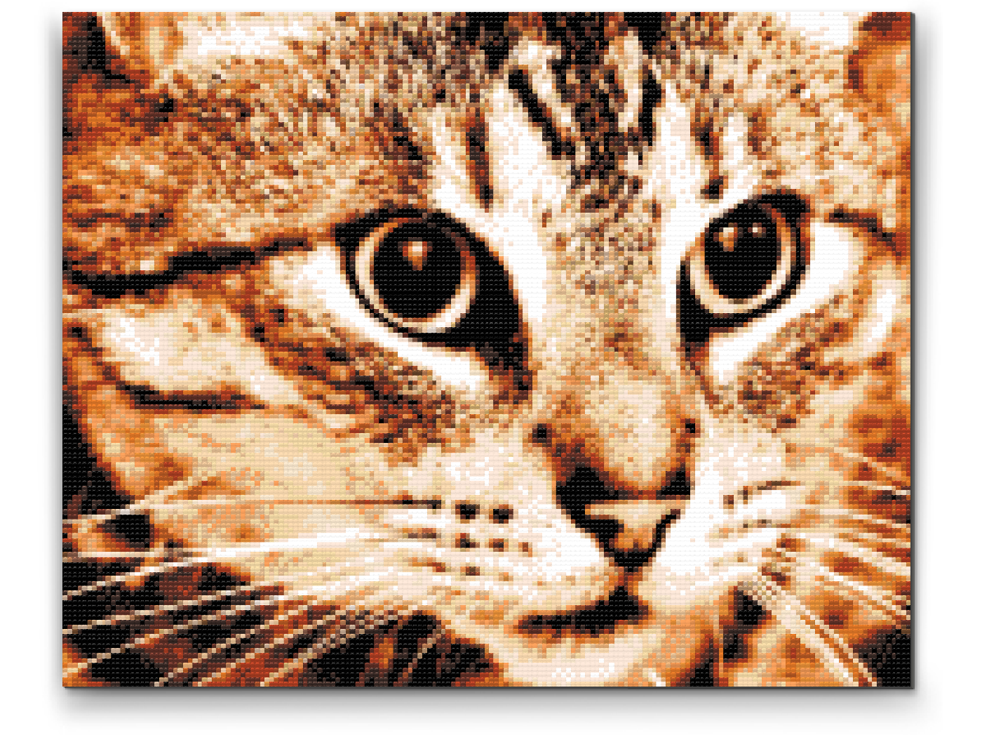 Diamond Painting - Tiger Cat