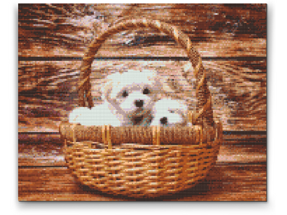Diamond Painting - Hunde i kurven