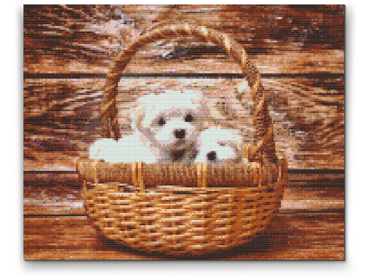 Diamond Painting - Hunde i kurven