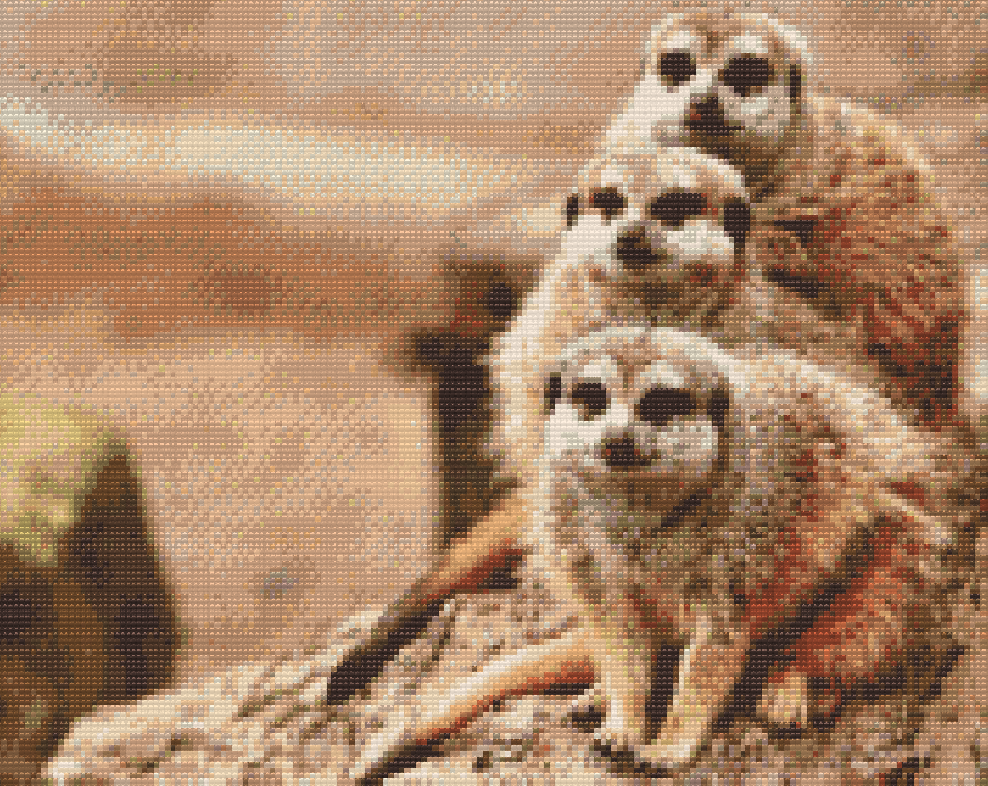 Diamond Painting - Safari Surikater