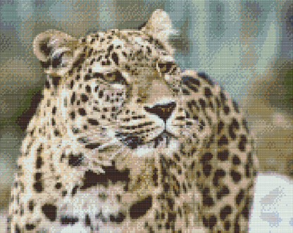 Diamond Painting - Leopard i naturen