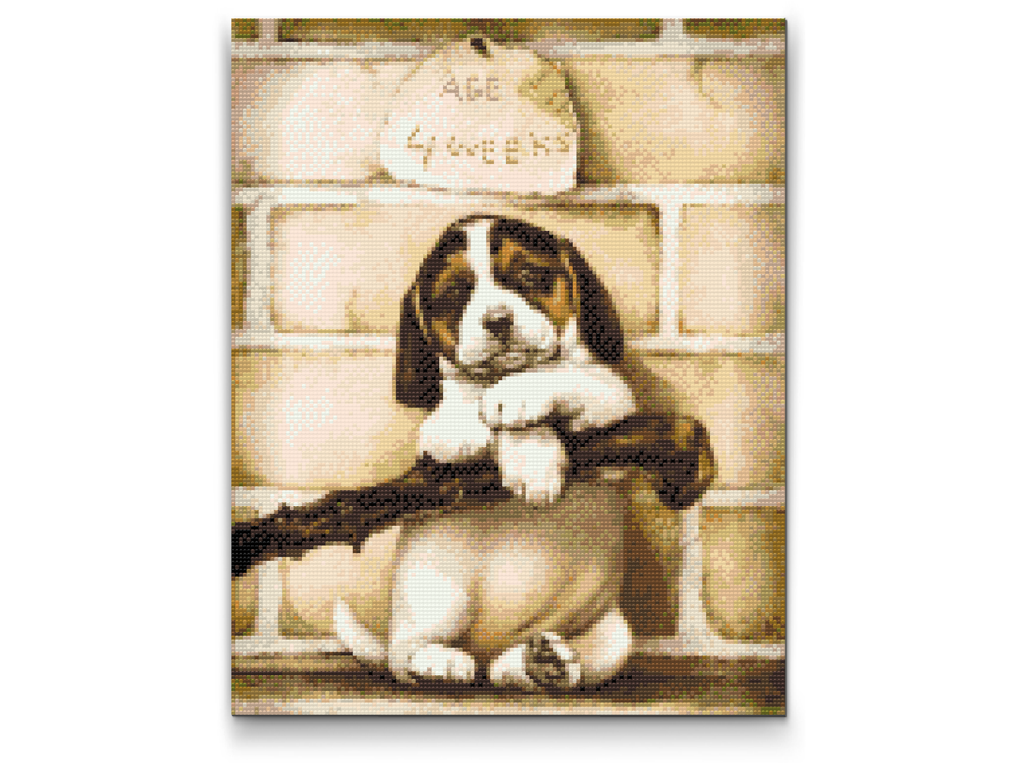 Diamond Painting - 4 uger gammel hvalp