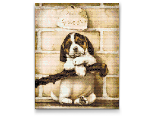 Diamond Painting - 4 uger gammel hvalp