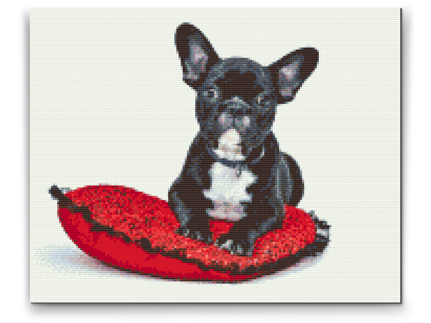 Diamond Painting - Sort bulldog på en pude