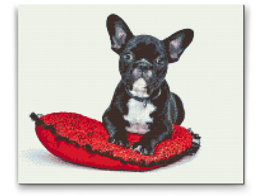 Diamond Painting - Sort bulldog på en pude