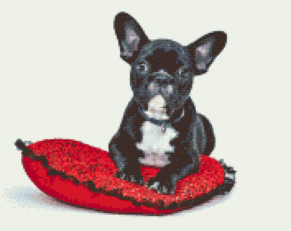 Diamond Painting - Sort bulldog på en pude