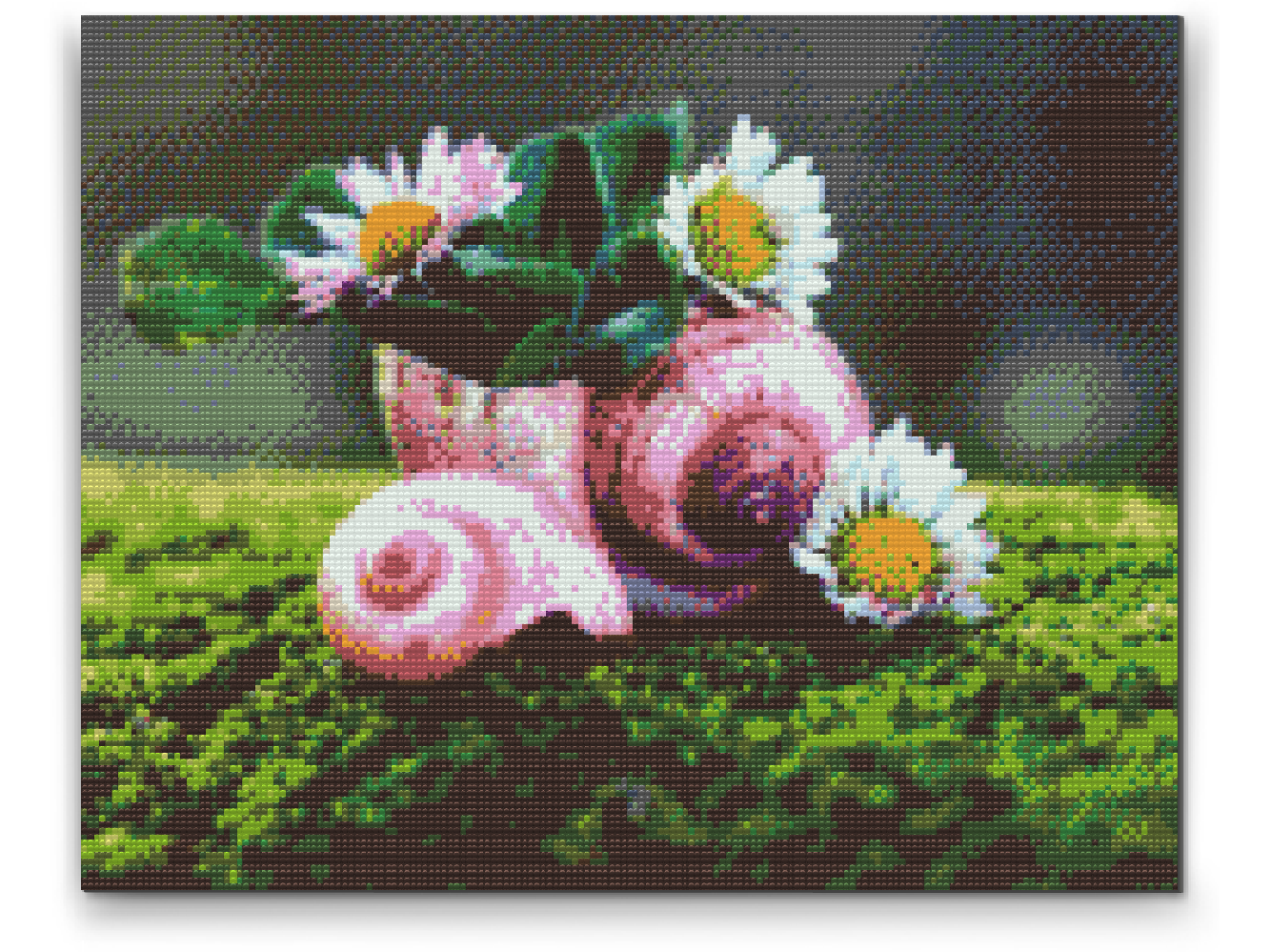 Diamond Painting - Margueritter i konkylien
