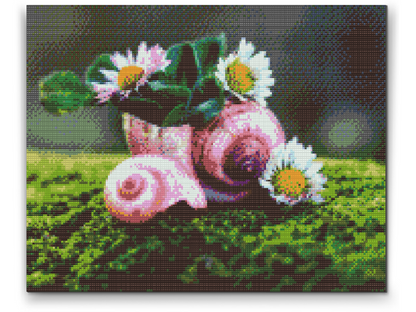 Diamond Painting - Margueritter i konkylien