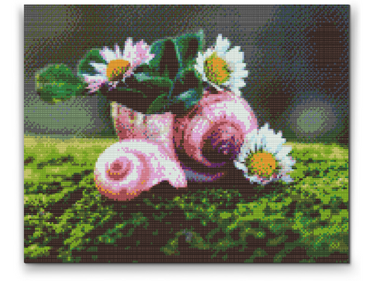 Diamond Painting - Margueritter i konkylien