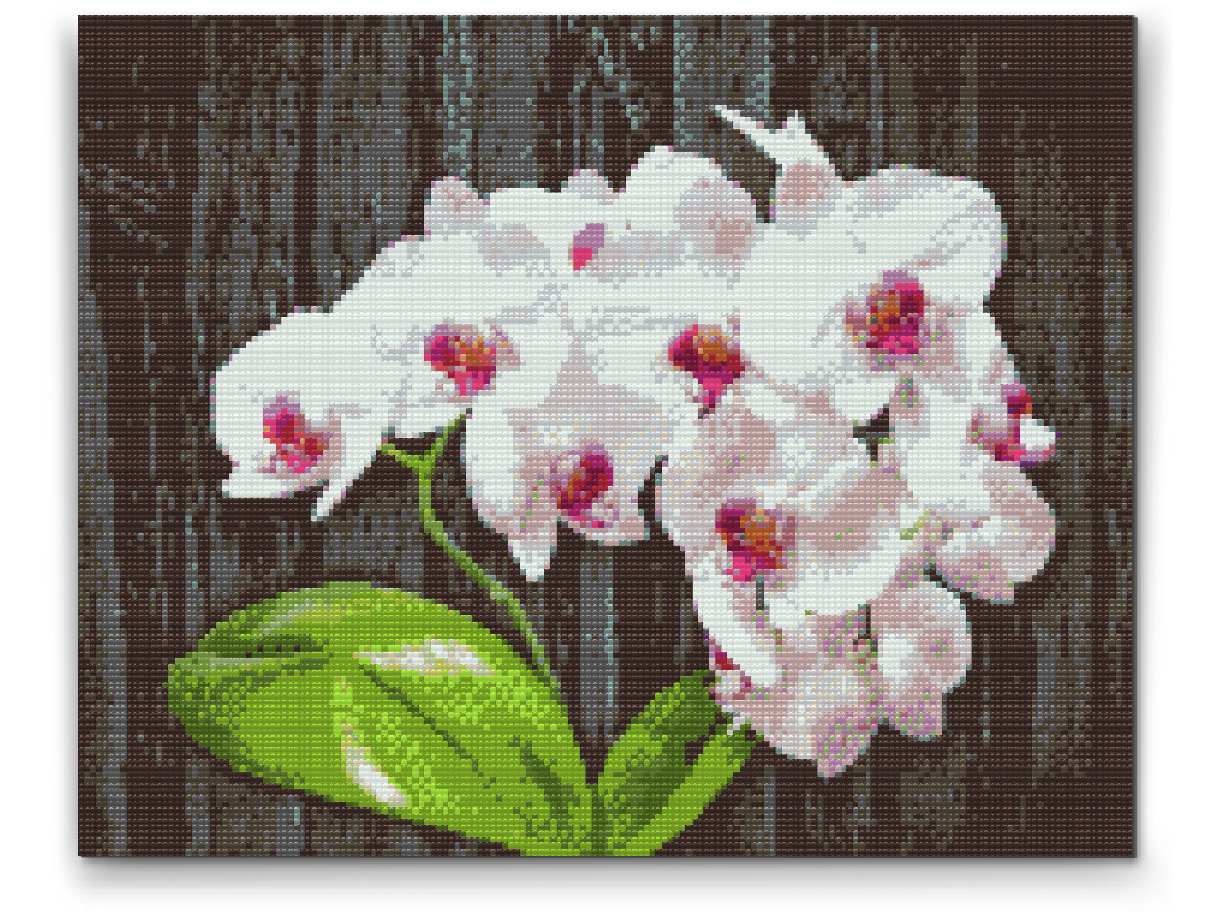 Diamond Painting - Hvid Orkidé