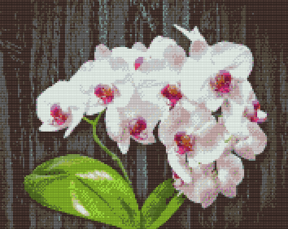 Diamond Painting - Hvid Orkidé